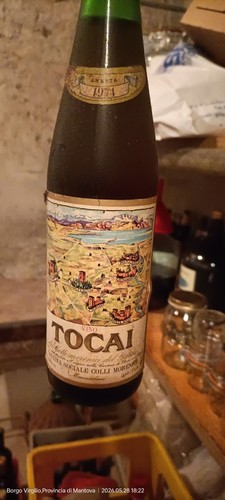 Cantina sociale colli - cantina,